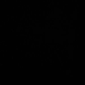 Meet your Posher, Elmer